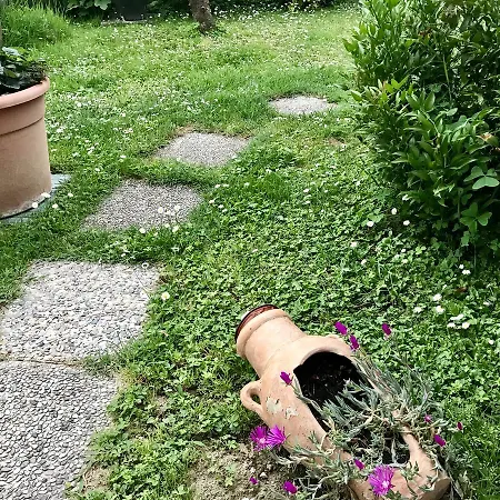 Bonottohome 招待所
